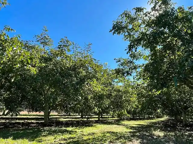 Ktimata Olympou products